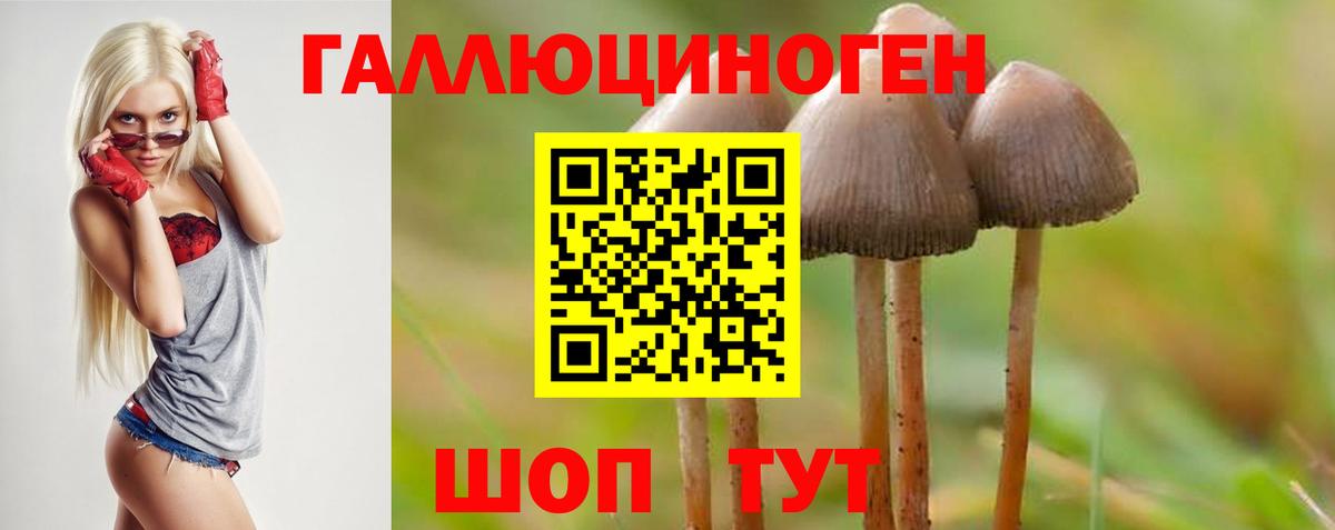Псилоцибиновые грибы GOLDEN TEACHER  Вход с VPN  Шадринск  Псилоцибиновые грибы Magic Shrooms 